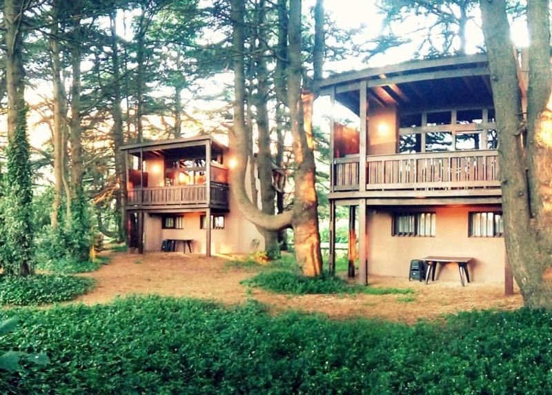 Posta Chimango, Cabanas Frente Al Golf Los Acantilados Mar del Plata Eksteriør billede